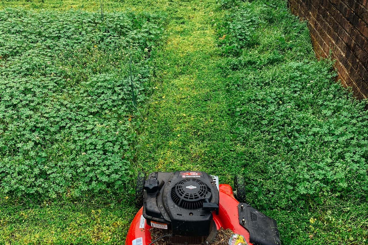 Freshly mowed green lawn with clean stripes, cared for by Crestwood Landscaping in Raleigh, NC