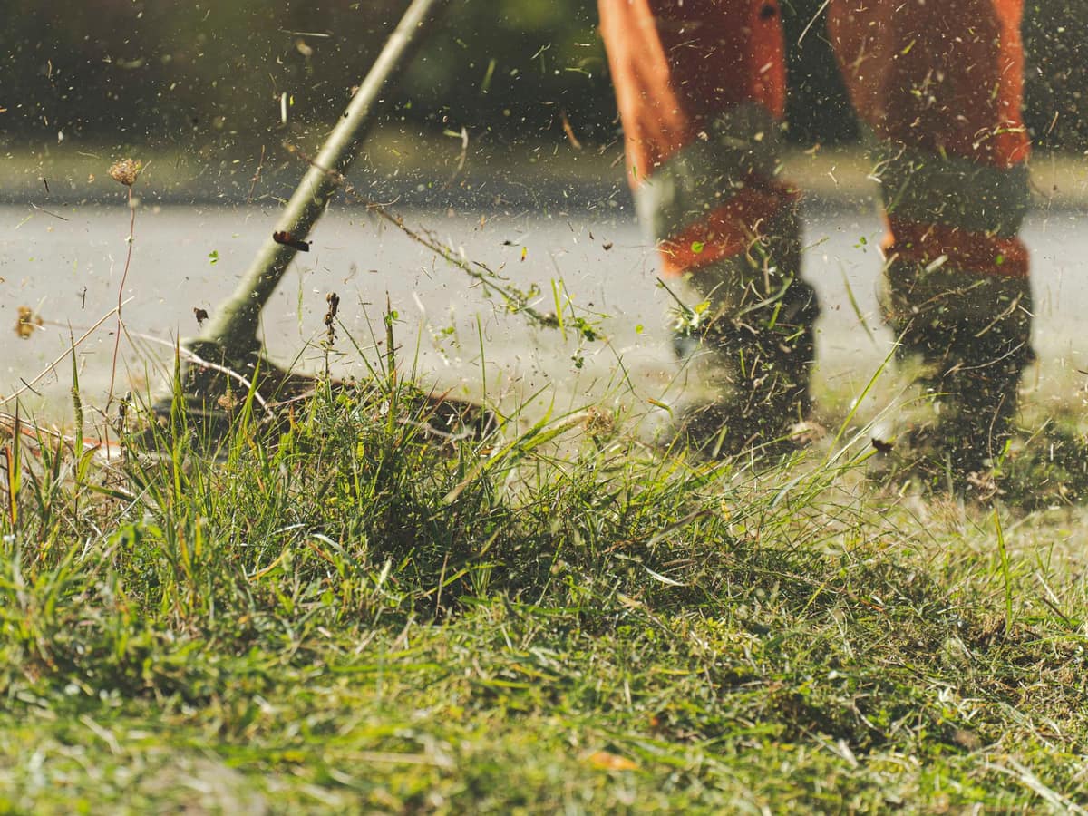 Landscaper edging a lawn along the pavement with a string trimmer during routine lawn care