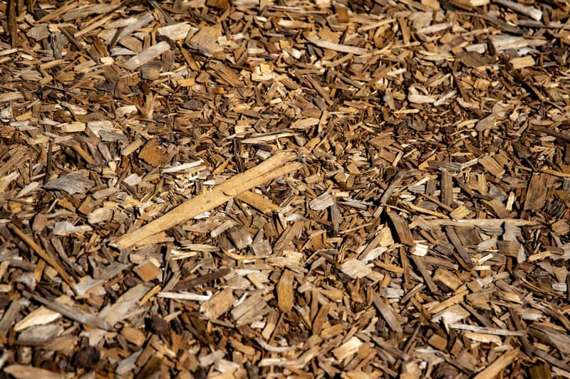 Fresh brown hardwood mulch spread in a landscape bed in Raleigh, NC