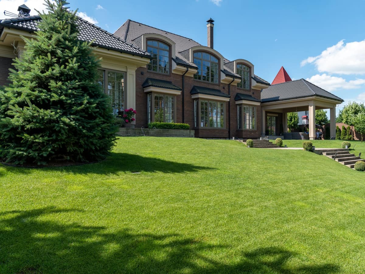 Well kept green lawn and trimmed evergreen shrubs in front of a large home